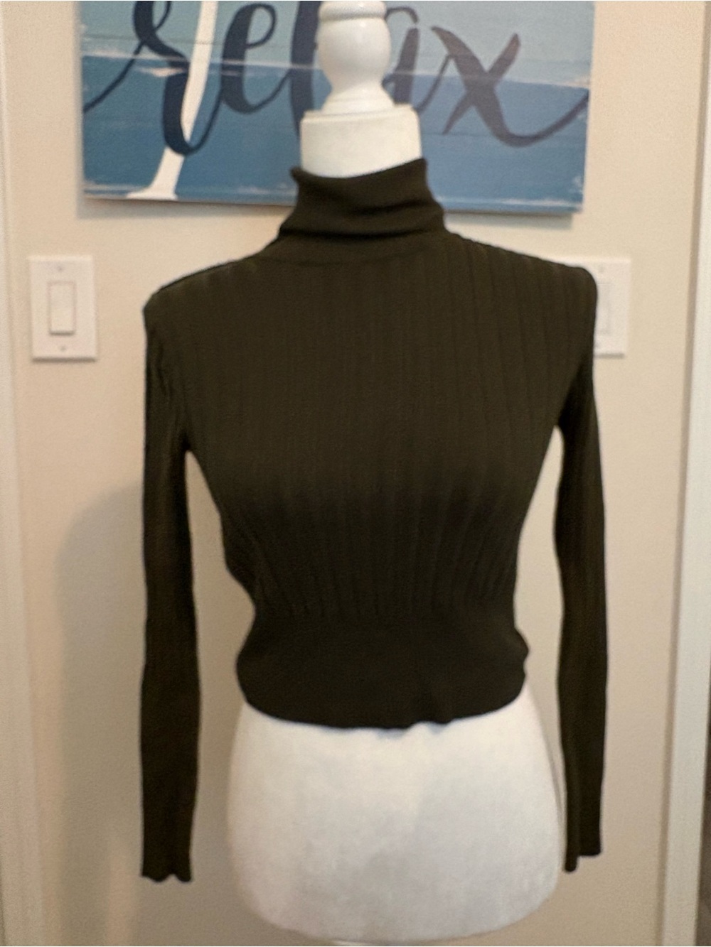 Zara Olive Ribbed Turtleneck Sweater